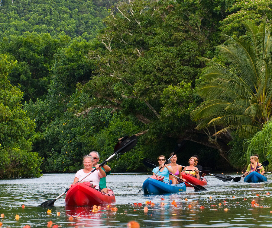 outfitters kauai kayak tour