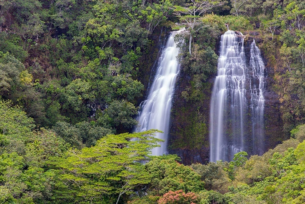 kauai movie tour adventure