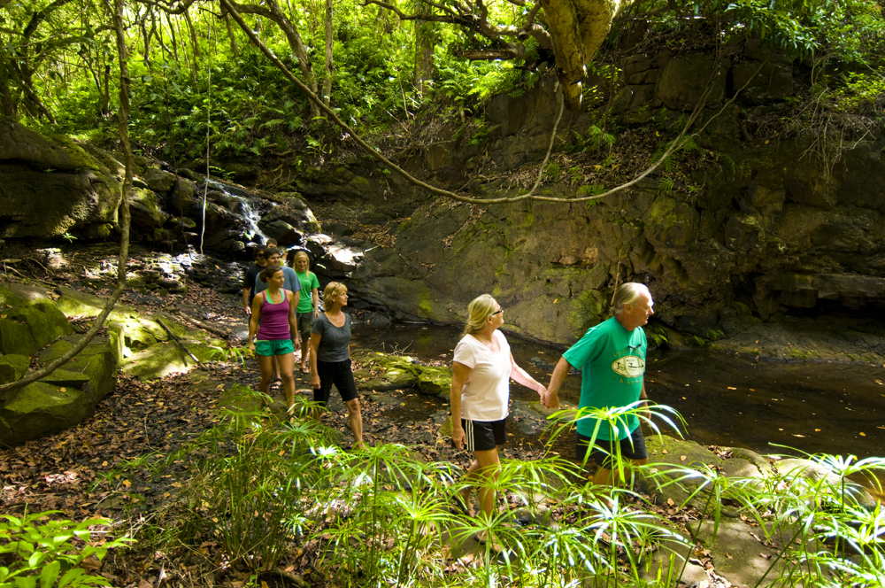 Outfitters Kauai Kipu Zipline Safari Kauai Vacation Tours