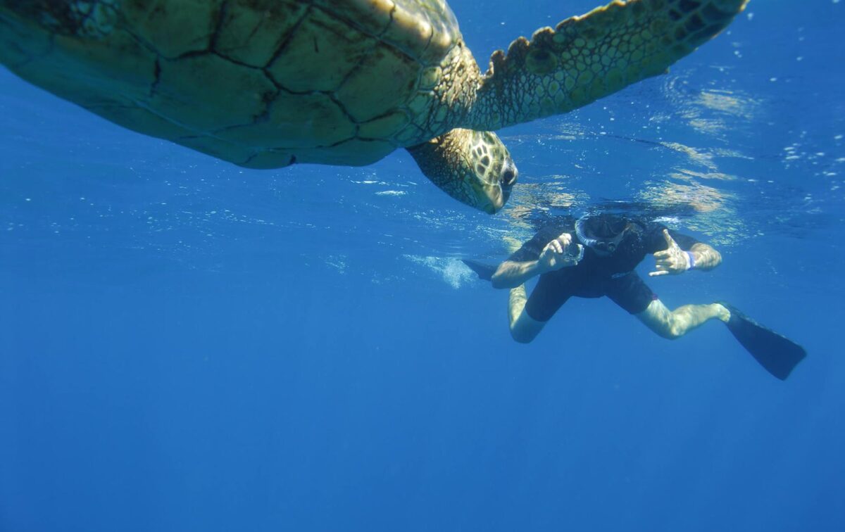 zodiac boat tours kauai