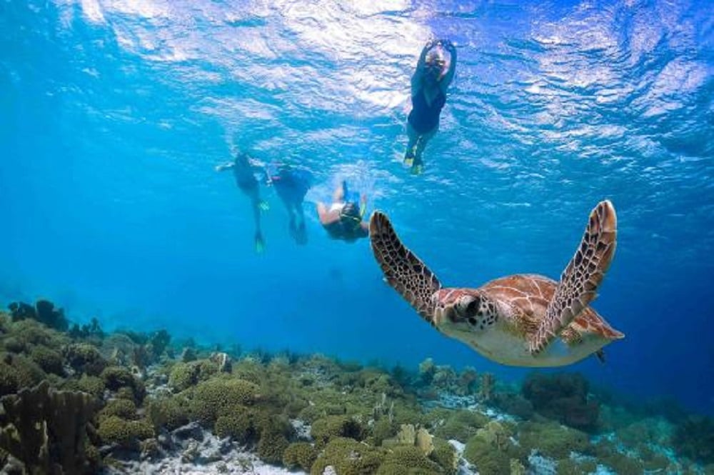 snorkel tours kauai south shore