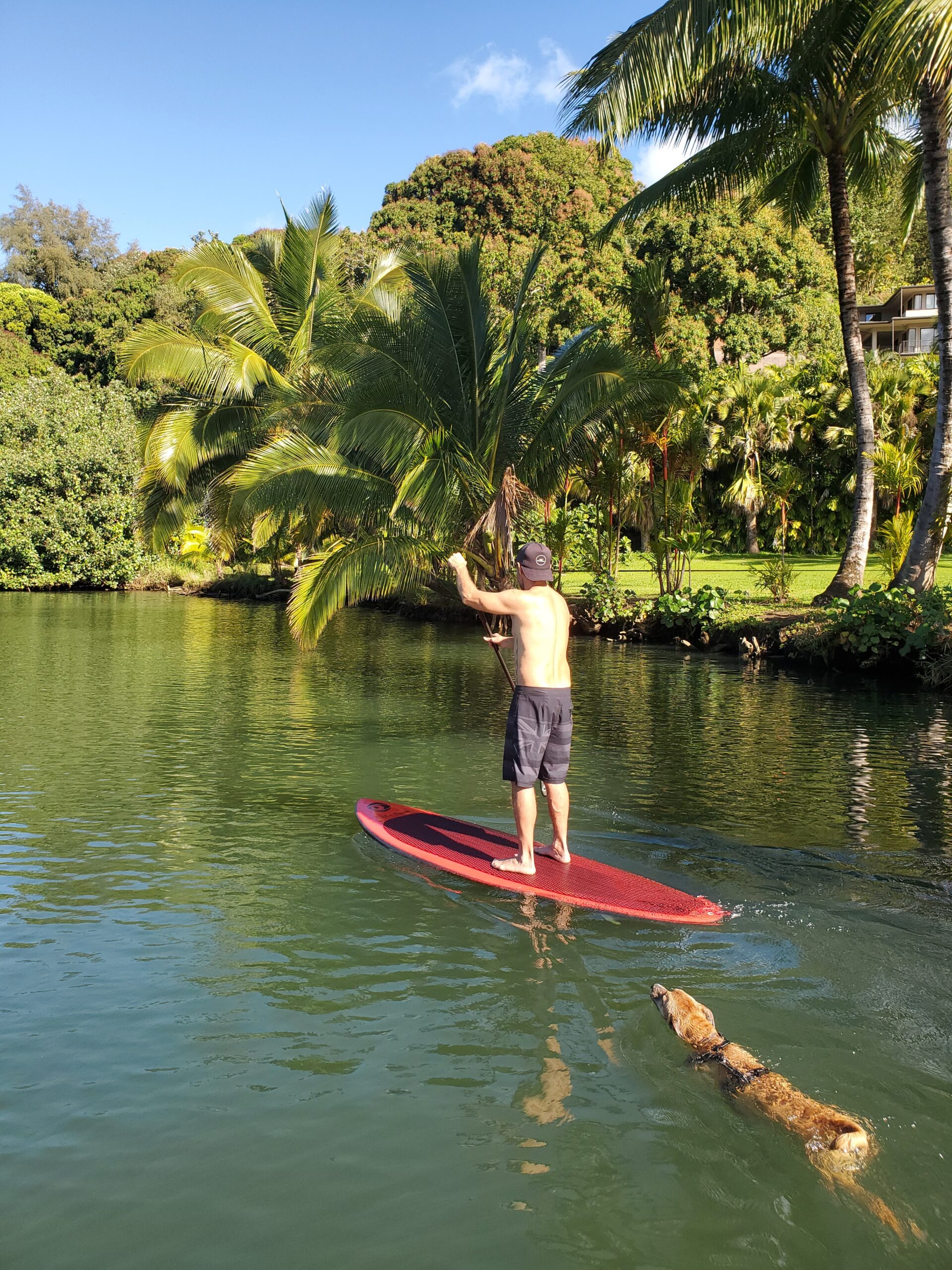 Learn To Stand Up Paddle In Kauai Kauai Vacation Tours