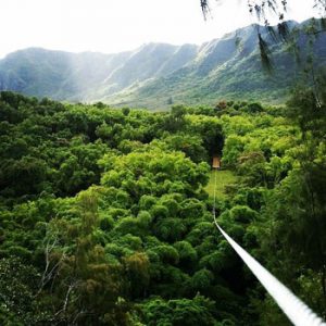 Kauai Zipline