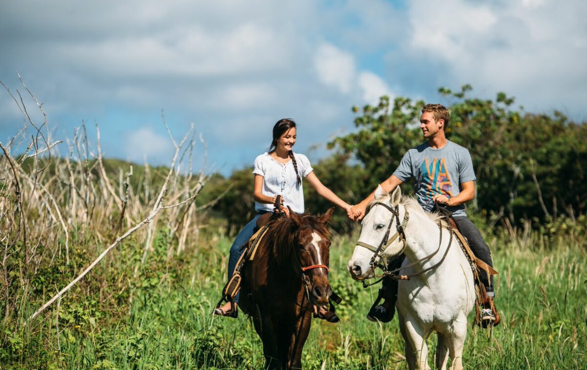 horseback riding tours kauai